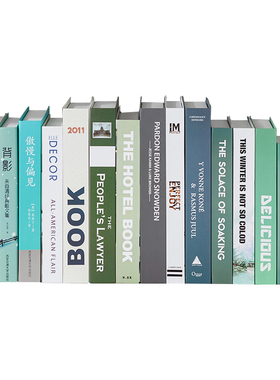 摆件模型装饰品创意定做仿真书