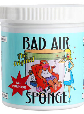 美国badairsponge空气净化剂