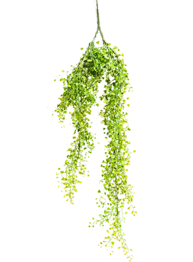 jk慕空间仿真藤蔓叶子仿真植物