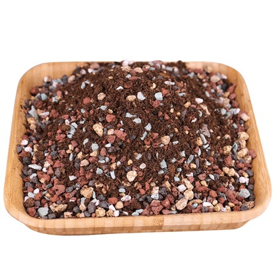 萌萌肉多肉专用颗粒营养土纯颗粒铺面石植物泥炭土壤盆栽种植花泥