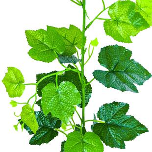 仿真葡萄叶假花藤条树叶绿叶绿植物吊顶装饰花藤塑料藤蔓缠绕水管