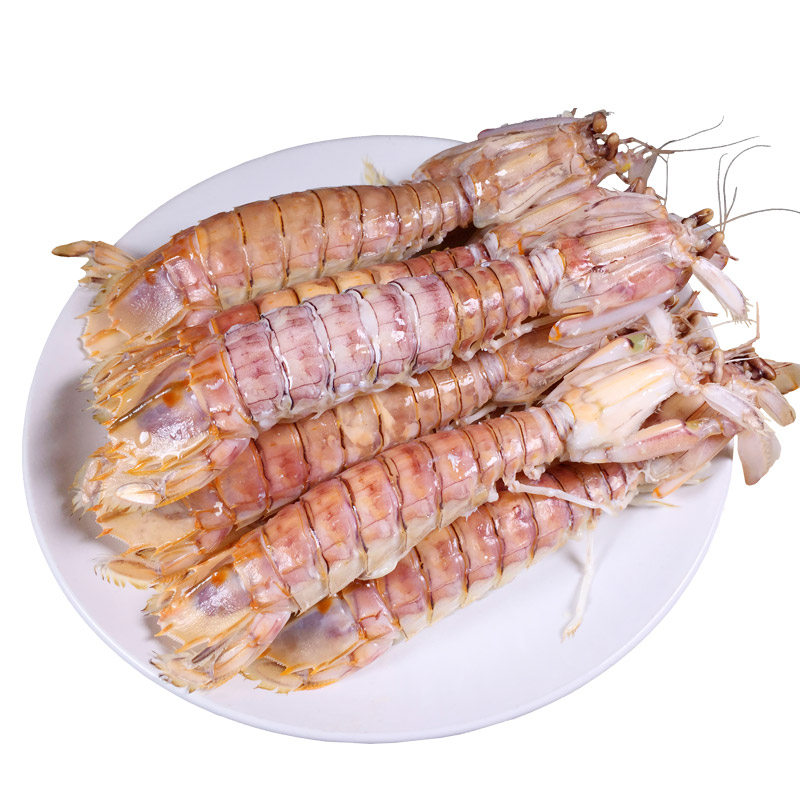 鲜活皮皮虾带籽公母虾虾姑活虾