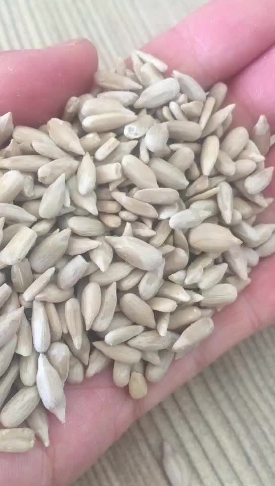 Hot Sale Sunflower Seed Kernels Confectionary Grade Factory Supply