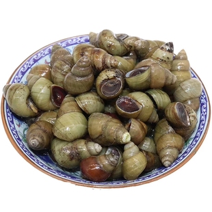 微山湖区本地特产生鲜活田螺 新鲜4斤装螺蛳活体农家精选淡水泥螺