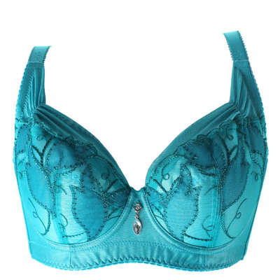 戴芝蒂专柜正品全罩杯薄纱内衣