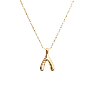 许愿骨 / 如愿轻奢项链 18k包金  高品质 不掉色百搭潮人