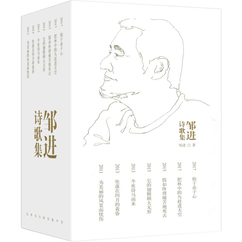 包邮 邹进诗歌集全7册 把林中的鸟赶进天空+始于赤子心+为美丽的风景而忧伤等 邹进诗集作品中国现当代诗歌诗书籍