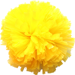 塑料花球亚光拉拉队手拿花摇花学生幼儿早操广场舞啦啦操花球道具