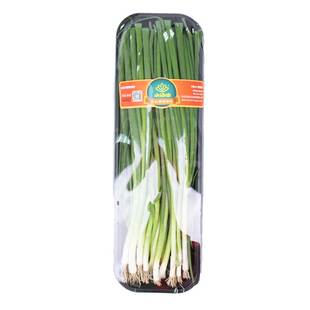 【小汤山】香葱 约150g 新鲜蔬菜当天采摘北京农场顺丰到家
