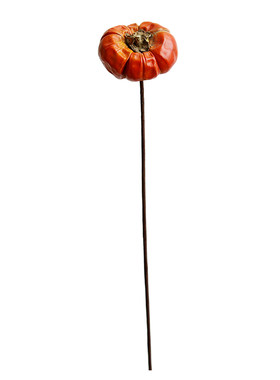 巴西进口小南瓜干果插花装饰道具
