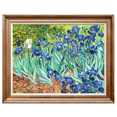 梵高鸢尾花油画雏菊蔷薇花夹竹桃