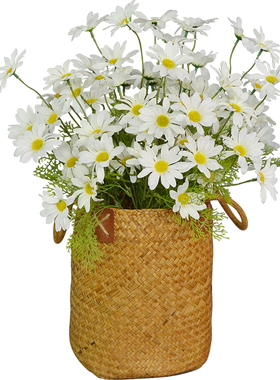 芈阳仿真波斯菊格桑花ins小雏菊