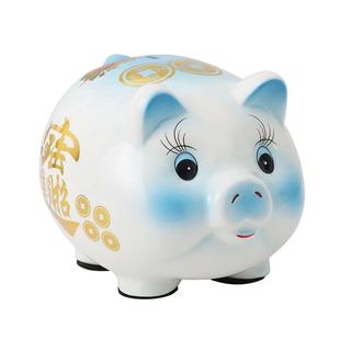 陶瓷猪存钱罐只进不出抖音储钱纸币2025年新款储蓄罐不可取男女孩
