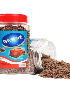 七彩鱼冻干小型包邮热带鱼