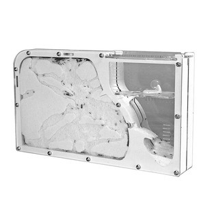 蚂蚁城堡蚂蚁工坊小宠物送蚁后群生态沙土巢沙堡蚁巢窝家园王国