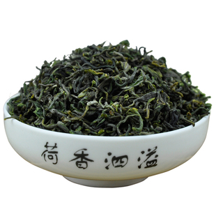 日照绿茶2025新茶春茶山东原产绿茶日照绿茶茶叶浓香栗香500g散装