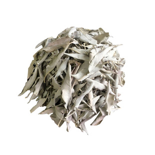 包邮加州白鼠尾草全叶子包  完整纯嫩叶无茎杆清理熏房间水晶消磁