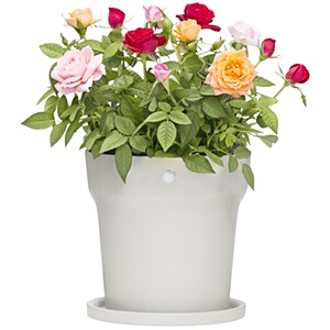 【正品现货】小米花花草草检测仪3.0 国外使用花花草草智能三代小米生态链植物检测仪监测水份肥力国内国际版