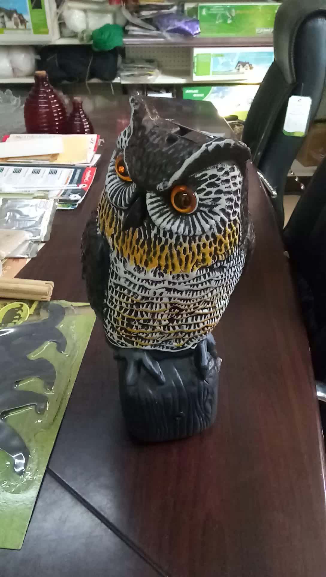 Plastic Eagle Bird Scarer Owl With Flash Eyes To Scare Birds Away Buy
