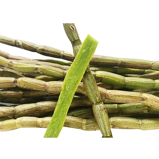 铁皮石斛 鲜条4年 原生态 雁荡山铁皮枫斗干花霍山源种