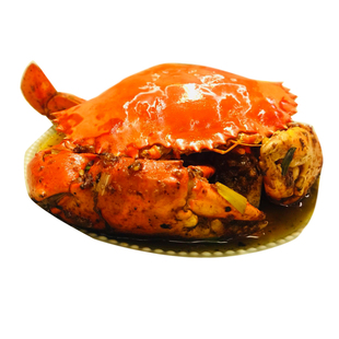 斯里兰卡鲜活特大螃蟹无绳鲜活钳梭子蟹红鲟母蟹棒700克包邮