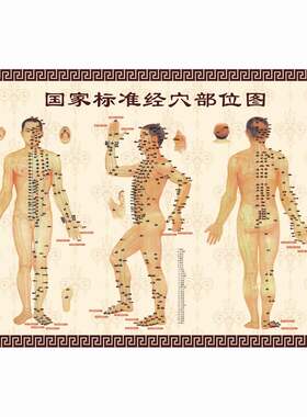 人体病症主治穴位图高清