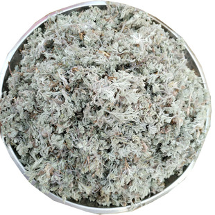 沂蒙山茵陈草 野生 新鲜 干货 新货500g三月棉茵陈白蒿包邮