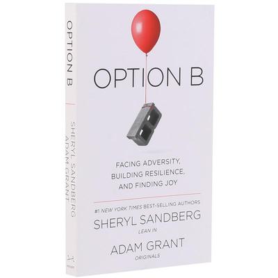 另一种选择OptionB方案B