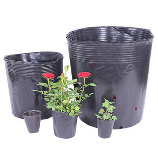 加厚营养钵育苗袋一次性塑料花盆育苗杯黑色果树育苗袋大号塑料