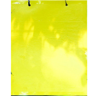 黄色粘虫诱板粉虱小白蛾蚜虫小黑飞蚊子果蝇专用双面粘果树蔬菜