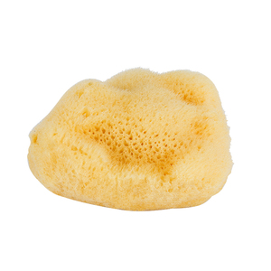 希腊天然丝绒海绵洗脸扑冰川泥洁面脸部清洁柔软细腻婴儿檫脸海绵