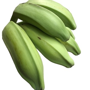 英飞扬果业5斤新鲜香蕉高州芭蕉大蕉牛角蕉非皇帝蕉小米蕉无添加