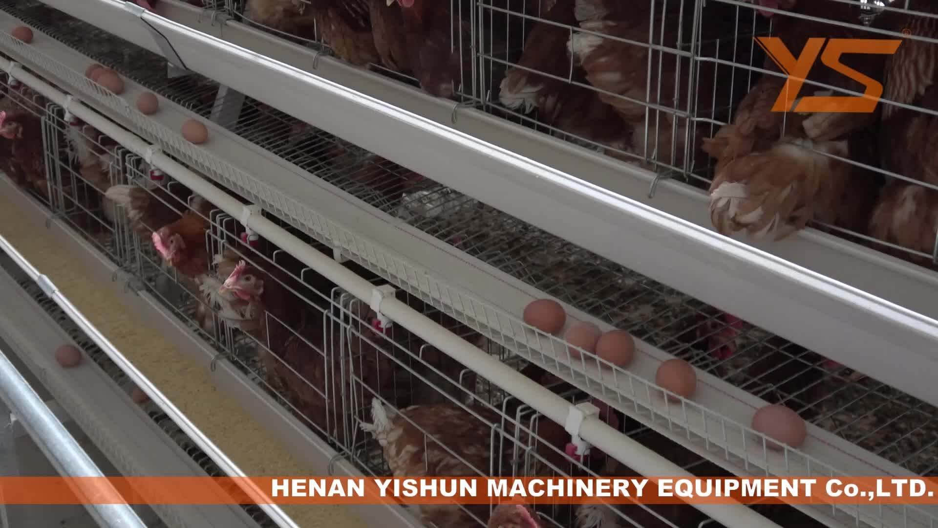 Good Quality Chicken House Ghana Farm Egg Laying Battery Cage For Sale Buy Egg Laying Battery