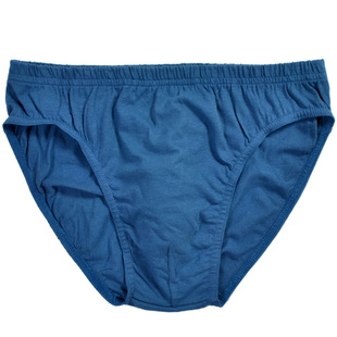 hanes恒适男士内裤青年三角裤纯棉窄边低腰紧身MUM502正品