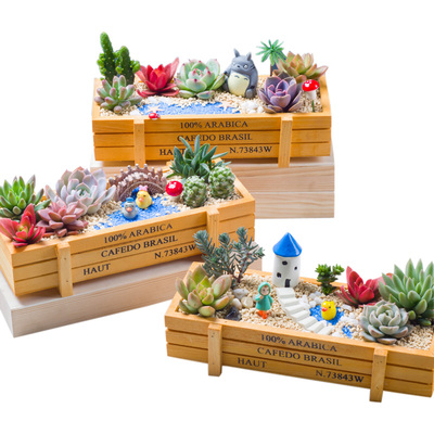 肉肉植物多肉植物组合含盆绿植