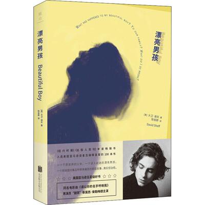 漂亮男孩 (美)大卫·谢夫(David Sheff) 著 陈俊群 译 外国文学小说畅销书籍正版 北京联合出版有限责任公司