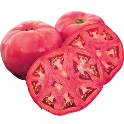 粉红白兰地牛排大番茄种子进口