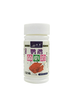 鹦鹉鱼杀菌消炎治疗血鹦鹉鱼病