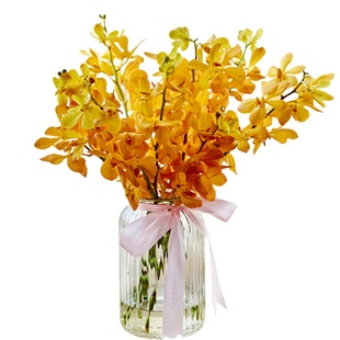 泰国洋兰鲜花云南直发昆明基地直批千代兰跳舞兰万代兰水养鲜切花