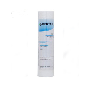 EVERPURE爱惠浦净水器pp棉滤芯10寸PS5-10C正品EF900P/200ms/h104