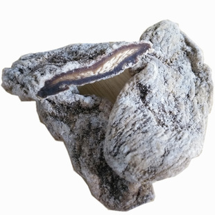 正宗永新酱萝卜250g煲汤作料江西农家自制酱姜萝卜干日永月新特产