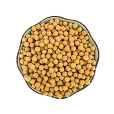 黑龙江海伦大豆农家自产新豆五斤