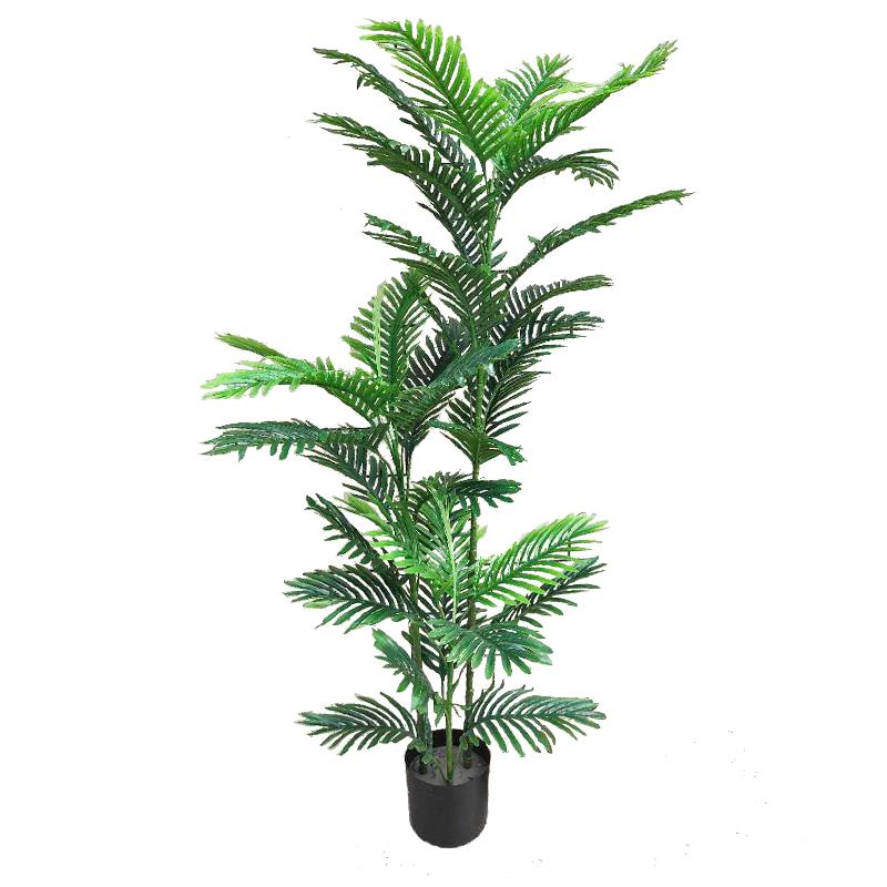 剑兰叶小滴水观音万年青仿真植物