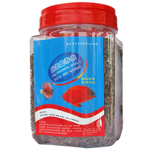 观赏鱼饲料 红虫干血虫干红虫冻赤虫 活体小热带鱼鱼粮 斗鱼饲料