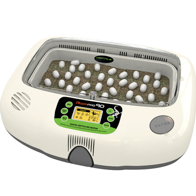 原装韩国RCOM小型龟蛋全自动