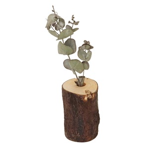 【木落】清新北欧木头墙壁装饰品木质创意植物墙家居树桩花瓶挂件