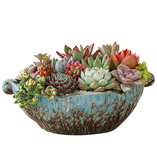 长方形多肉花盆陶瓷大口径大号特大号长条阳台特价清仓包邮残次品