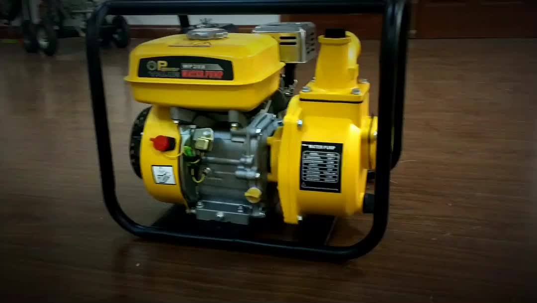 Genour Power Wp20x 168f 5.5hp 2 Inch Lpg/gas/gasoline/petrol Generator