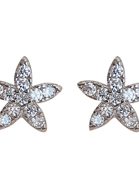 闪亮迷你纯银五角星日韩风耳钉