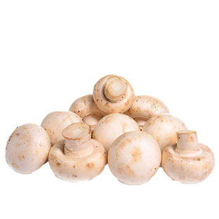 成都好特蔬 口蘑白蘑菇新鲜蔬菜西餐食材顺丰包邮mushroom 250g